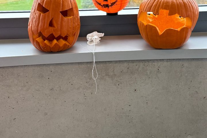 motion photo 6178389812614131785