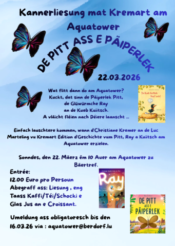 Flyer Kannerliesung