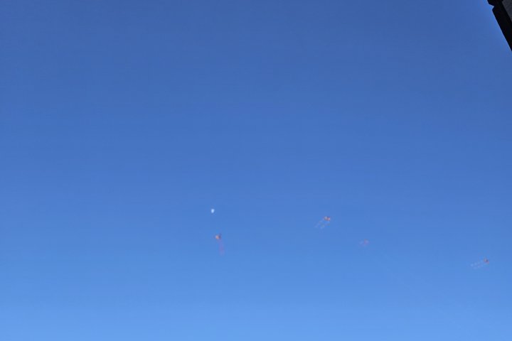 20260712 110317