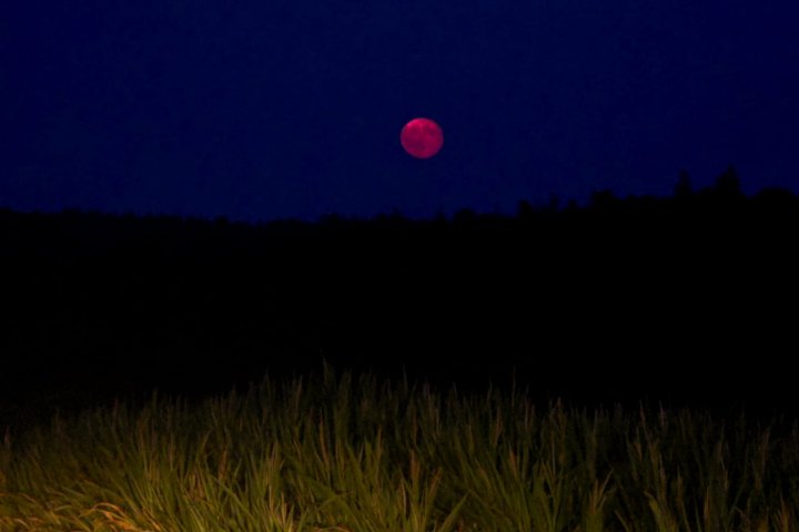 IMG-20260730-WA0068